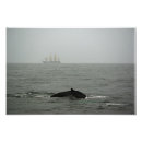 Zoek naar whale kunst Ocean