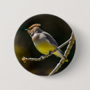 Recherche de cire badges Pour tous