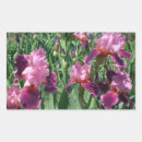 Zoek naar irissen stickers Tuin