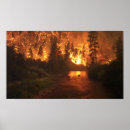 Recherche de incendie forêt posters Le feu