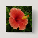 Recherche de fleur tropicale badges Hibiscus