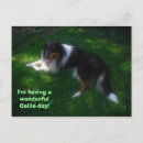 Zoek naar collie briefkaarten Vakantie