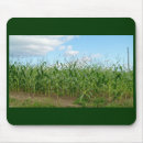 Recherche de champ maïs tapis souris Paysage