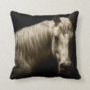 Zoek naar zwarte paarden kussens Fotografie