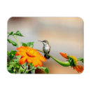 Recherche de faune et flore magnets Nature