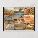 Zoek naar deeg briefkaarten Brood