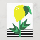 Recherche de citron cartes postales Moderne