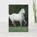 Zoek naar werking kaarten Appaloosa