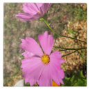 Recherche de fleurs carreaux Nature