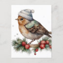 Recherche de oiseaux en hiver cartes postales Faune