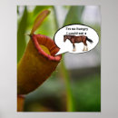 Recherche de plantes carnivores posters Nature