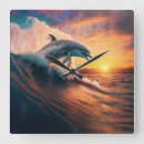 Recherche de dauphins horloges Vie marine