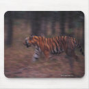 Zoek naar tijgers muismatten Lopen