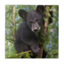 Recherche de animaux sauvages carreaux Arbres