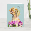 Zoek naar vizsla briefkaarten Schattig