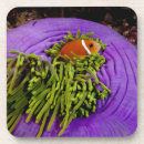 Recherche de clownfish dessous de verres Animaux