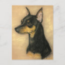 Recherche de pinscher miniature cartes postales Chiot
