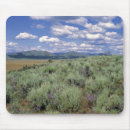 Recherche de fleur lupin tapis souris Chaîne de montagnes