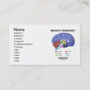 Recherche de cérébral cartes visite Anatomie