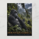 Recherche de gorilles montagne cartes postales Gorille des montagnes