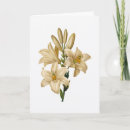 Recherche de redoute vœux cartes Aquarelle