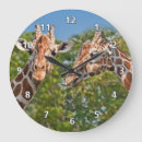 Recherche de girafes horloges Jungle