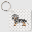 Recherche de teckels porteclés Doxie