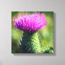 Recherche de chardon de art Floral