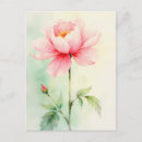 Recherche de pivoines roses cartes postales Pivoine rose