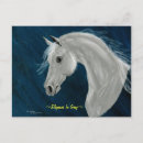 Recherche de cheval arabe cartes postales Blanc