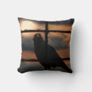 Zoek naar kraai kussens Vogel