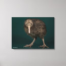 Zoek naar kiwi kunst Vogel