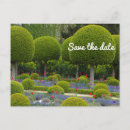 Recherche de arbre abstrait cartes postales Vert