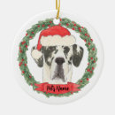 Zoek naar great dane ornamenten Harlequin
