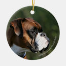 Zoek naar boxer dog ornamenten Foto