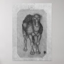 Recherche de chameau dromadaire posters Dessin