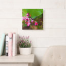 Recherche de vigne horloges Nature