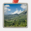 Zoek naar toscaans ornamenten Buiten