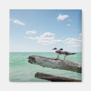 Recherche de autour du monde magnets Photographie