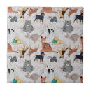 Zoek naar leuke katten tegels Patroon