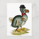 Recherche de doodoo cartes postales Vintage