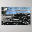 Zoek naar tree roots kunst Bomen