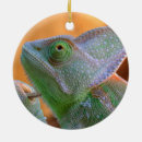 Recherche de chameleon ornements Drôle