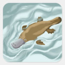 Recherche de platypus autocollants Mignon