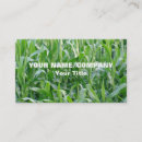 Recherche de champ cartes visite Nature
