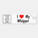 Recherche de whippet voiture autocollants Chien