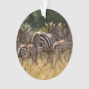 Recherche de de cercle ornements Family