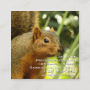 Recherche de faune et flore cartes visite Nature