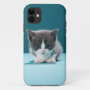 Recherche de chat domestique iphone coques Animaux de bébé