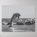Recherche de dauphin art Moderne